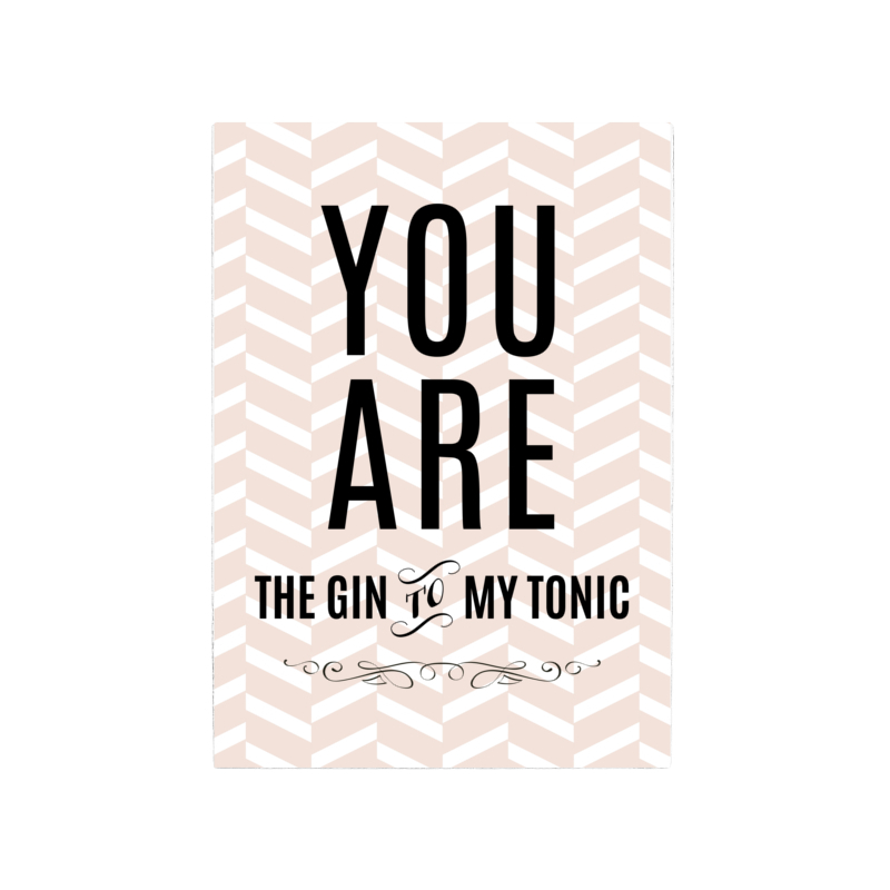 42x30cm Shabby Holzschild YOU ARE THE GIN TO MY TONIC Trinken Bar Vintage Spruch
