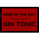 FUSSMATTE Schmutzmatte SOUP OF THE DAY Gin Tonic Spruch WG Flur Viele Farben Rot