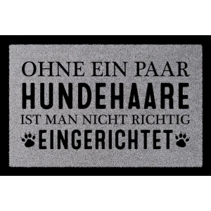 TÜRMATTE Fußmatte OHNE EIN PAAR HUNDEHAARE Tierisch Haustier Hund Einzug Spruch Hellgrau