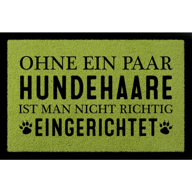 TÜRMATTE Fußmatte OHNE EIN PAAR HUNDEHAARE Tierisch Haustier Hund Einzug Spruch Grün