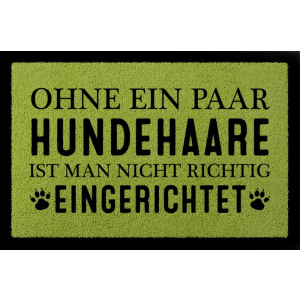 TÜRMATTE Fußmatte OHNE EIN PAAR HUNDEHAARE Tierisch Haustier Hund Einzug Spruch Grün