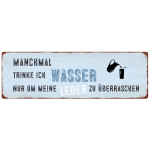METALLSCHILD Blechschild MANCHMAL TRINKE ICH WASSER...