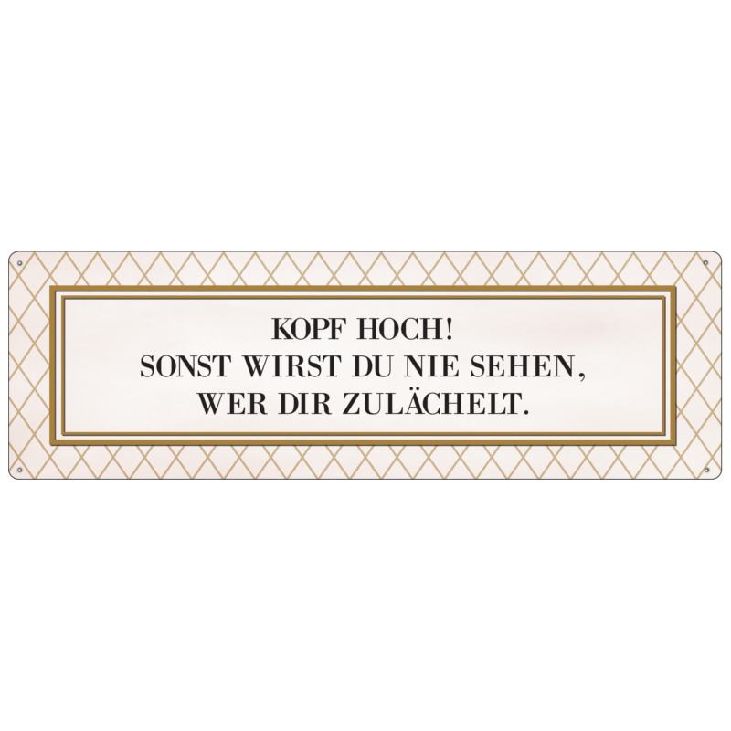 METALLSCHILD Blechschild KOPF HOCH Ansporn Spruch Motivation Lebensfreude