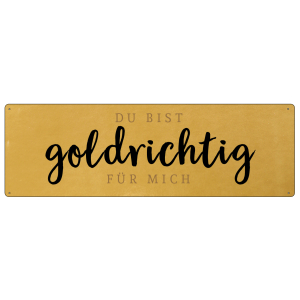 GOLD Metallschild DU BIST GOLDRICHTIG FÜR MICH Wanddekoration Geschenk Partner Mann Frau Ehe