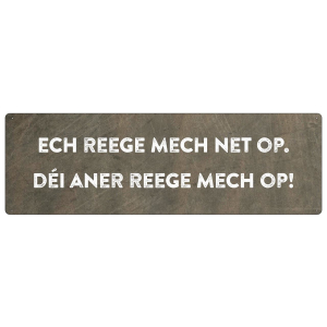 METALLSCHILD Blechschild ECH REEGE MECH NET OP...