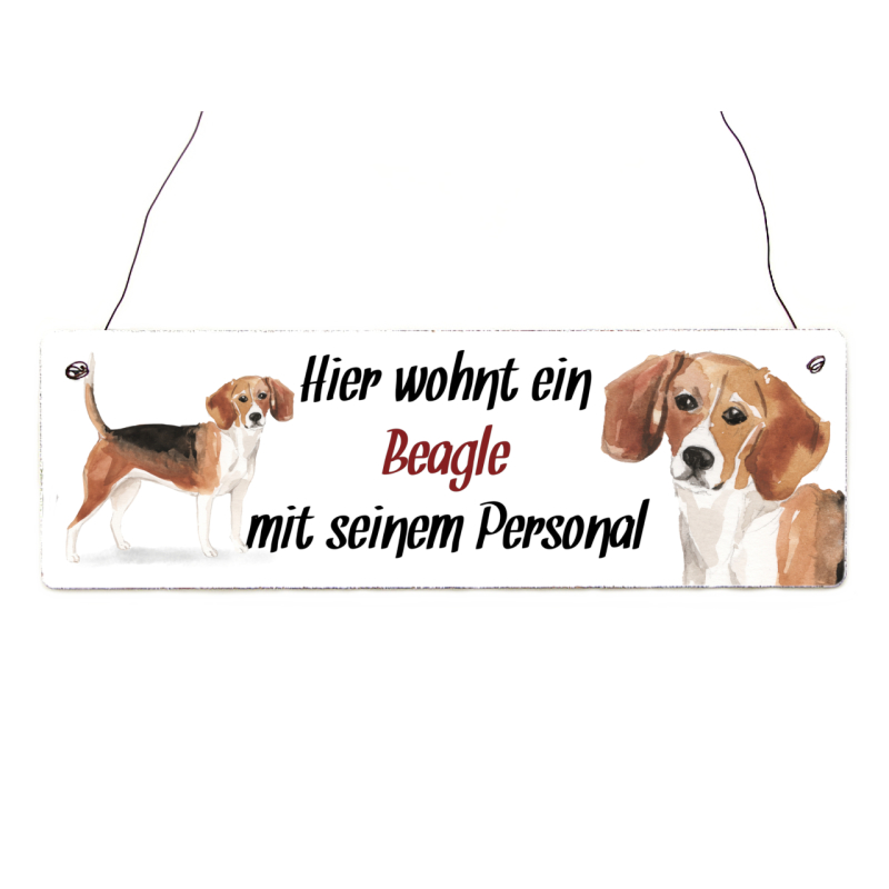 Interluxe Holzschild - Hier wohnt ein Beagle - Schild mit Spruch Türschild oder Hundeschild als Geschenk für Menschen mit Hund