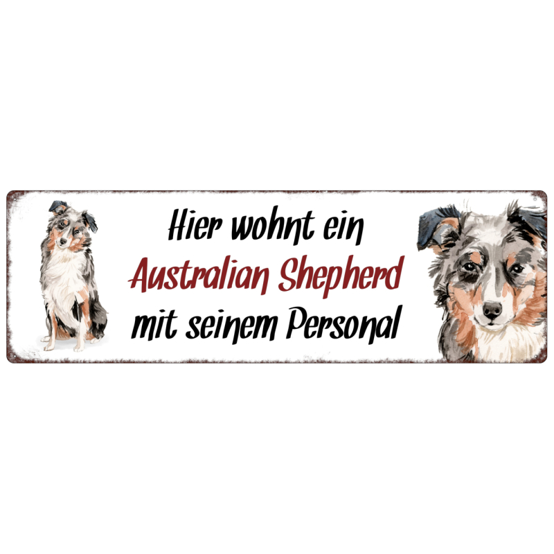 Interluxe Metallschild - Hier wohnt ein Australian Shepherd - wetterfestes Schild, Hundeschild als Geschenk für Menschen mit Hund