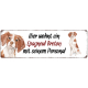 Interluxe Metallschild - Hier wohnt ein Epagneul Breton - wetterfestes Schild, Türschild, Warnschild oder Hundeschild als Geschenk für Menschen mit Hund