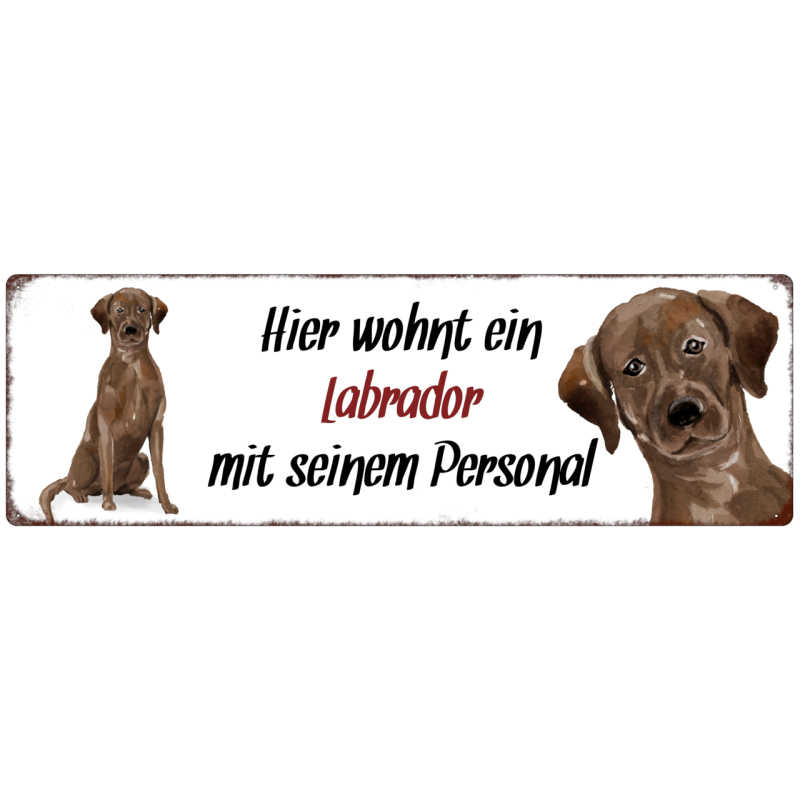 Interluxe Metallschild - Hier wohnt ein Labrador - wetterfestes Schild, Türschild, Warnschild oder Hundeschild als Geschenk für Menschen mit Hund