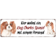 Interluxe Metallschild - Hier wohnt ein King Charles Spaniel - wetterfestes Schild, Türschild, Warnschild oder Hundeschild als Geschenk für Menschen mit Hund