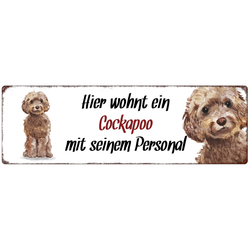 Interluxe Metallschild - Hier wohnt ein Cockapoo - wetterfestes Schild, Türschild, Warnschild oder Hundeschild als Geschenk für Menschen mit Hund