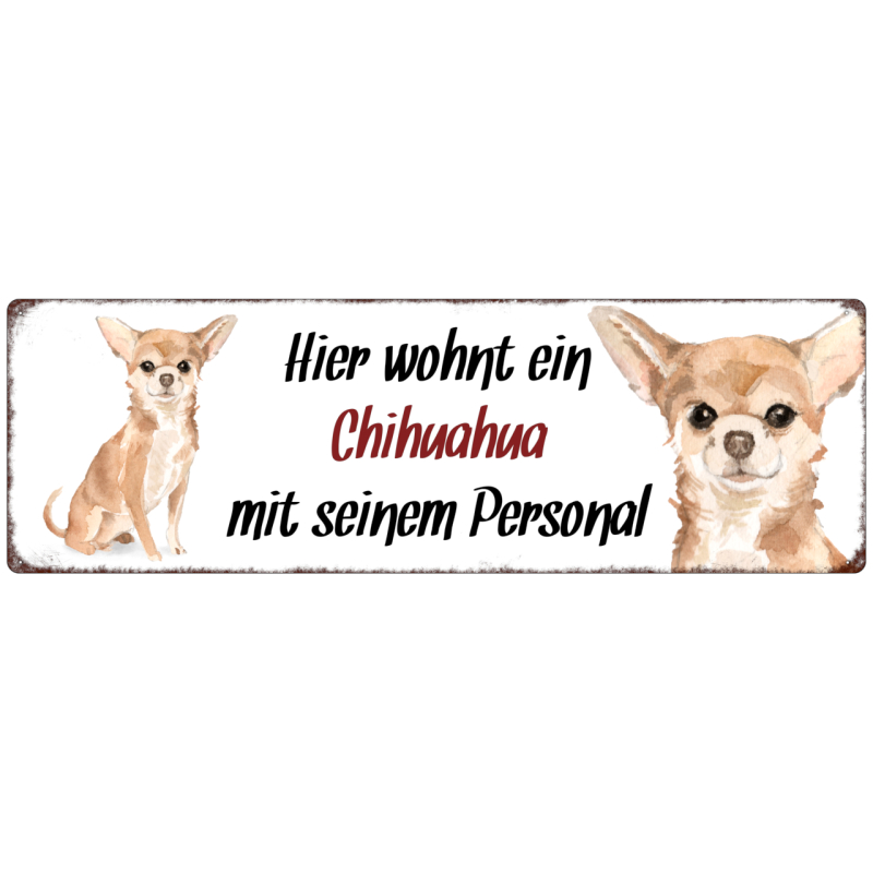Interluxe Metallschild - Hier wohnt ein Chihuahua - Dekoschild, Türschild oder Hundeschild als Geschenk für Menschen mit Hund