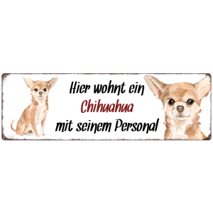 Interluxe Metallschild - Hier wohnt ein Chihuahua - Dekoschild, Türschild oder Hundeschild als Geschenk für Menschen mit Hund