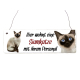 Interluxe Holzschild - Hier wohnt eine Siamkatze - Türschild, Dekoschild, Schild als Geschenk für Menschen mit Katze