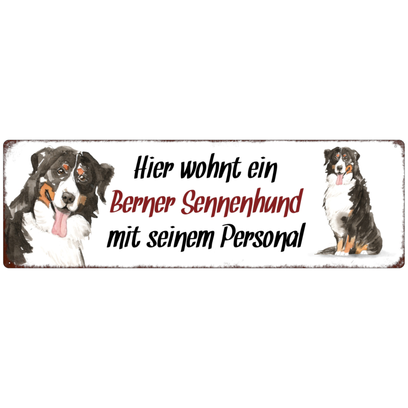 Interluxe Metallschild - Hier wohnt ein Berner Sennenhund - dekoratives Schild, Türschild, Blechschild als Geschenk für Menschen mit Hund