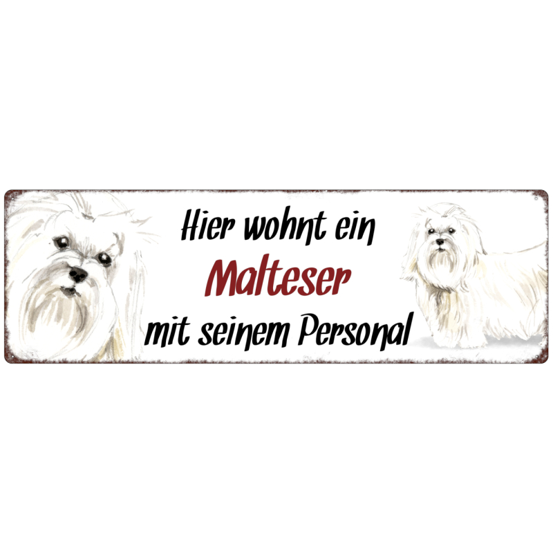 Interluxe Metallschild - Hier wohnt ein Malteser - dekoratives Schild, Türschild, Blechschild als Geschenk für Menschen mit Hund