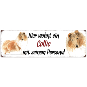 Interluxe Metallschild - Hier wohnt ein Collie - dekoratives Schild, Türschild, Blechschild als Geschenk für Menschen mit Hund