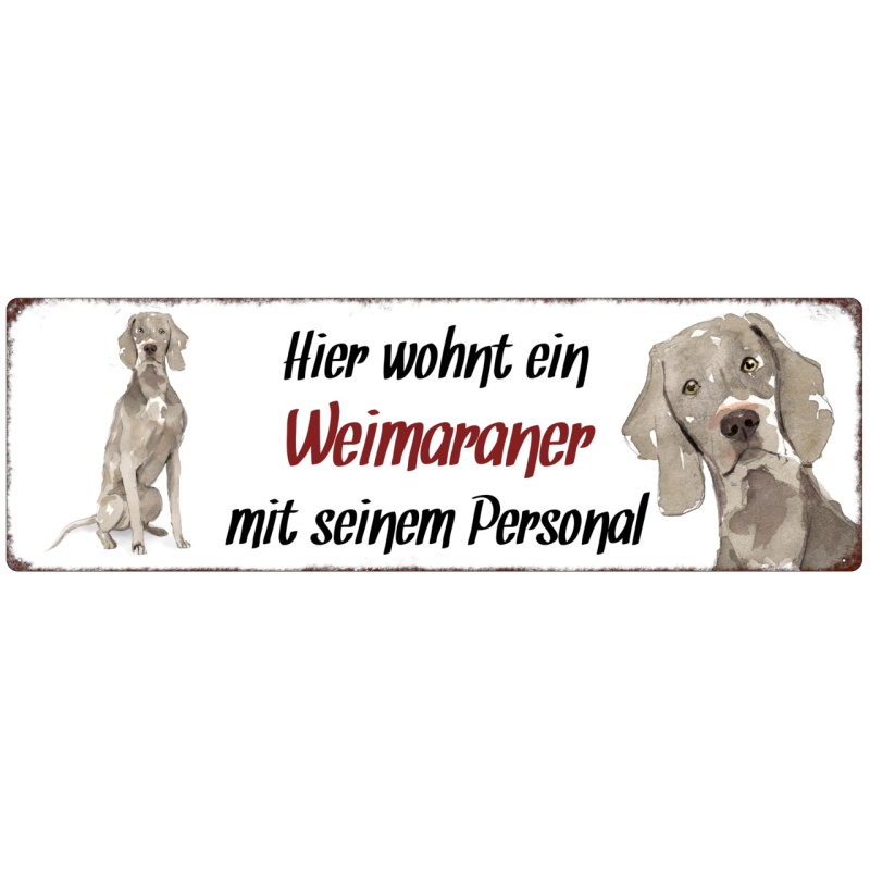 Interluxe Metallschild - Hier wohnt ein Weimaraner - dekoratives Schild, Türschild, Blechschild als Geschenk für Menschen mit Hund
