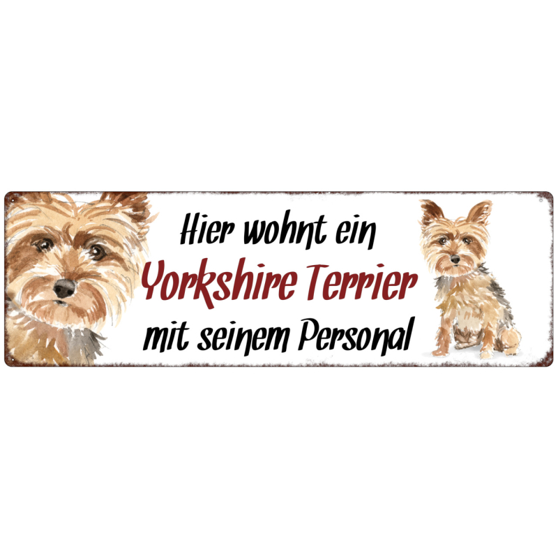 Interluxe Metallschild - Hier wohnt ein Yorkshire Terrier - dekoratives Schild, Türschild, Blechschild als Geschenk für Menschen mit Hund