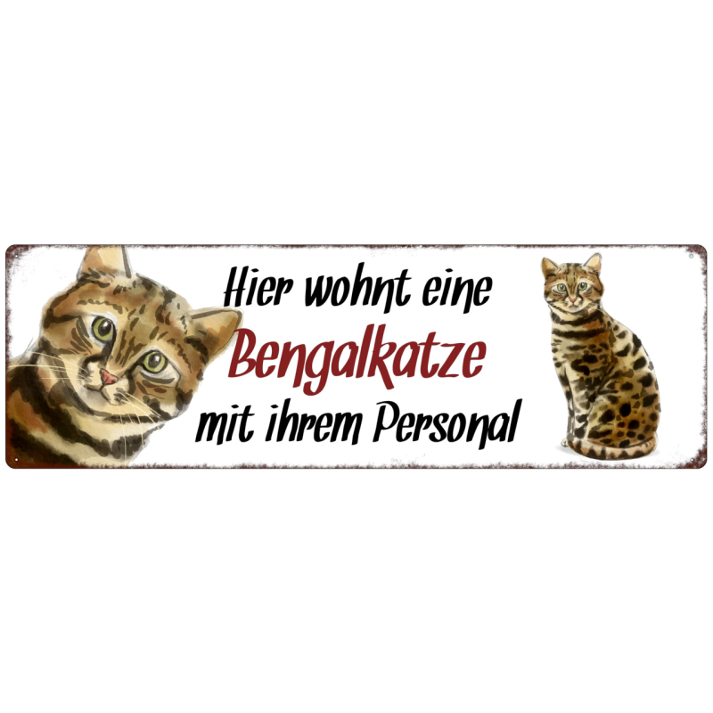 Interluxe Metallschild - Hier wohnt eine Bengalkatze - dekoratives Schild, Türschild, Blechschild als Geschenk für Menschen mit Katze