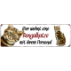 Interluxe Metallschild - Hier wohnt eine Bengalkatze - dekoratives Schild, Türschild, Blechschild als Geschenk für Menschen mit Katze
