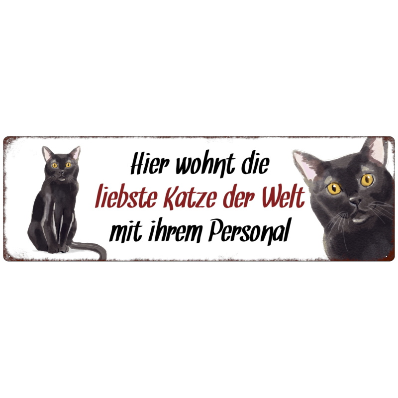 Interluxe Metallschild - Hier wohnt die liebste Katze der Welt - dekoratives Schild, Türschild, Blechschild als Geschenk für Menschen mit Katze