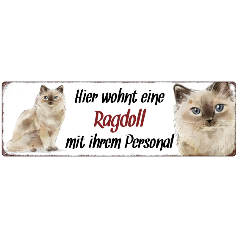 Interluxe Metallschild - Hier wohnt eine Ragdoll - dekoratives Schild, Türschild, Blechschild als Geschenk für Menschen mit Katze