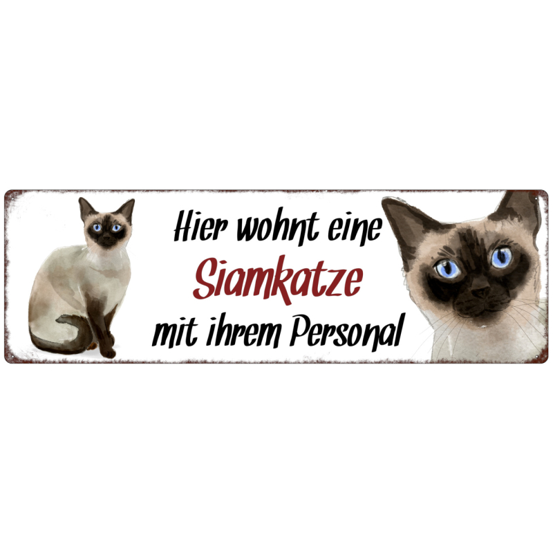 Interluxe Metallschild - Hier wohnt eine Siamkatze - dekoratives Schild, Türschild, Blechschild als Geschenk für Menschen mit Katze