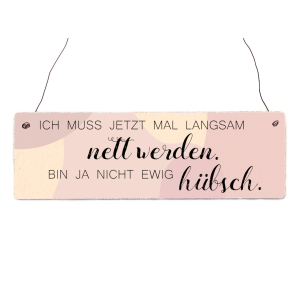 Interluxe Holzschild - Ich muss jetzt mal langsam nett werden - witziges Schild mit Spruch für die beste Single-Freundin