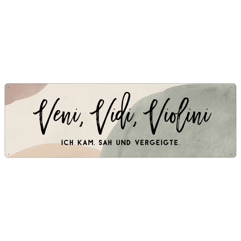 Interluxe Metallschild - Veni Vidi Violini - Schild mit Spruch zur Prüfung, für Kollegen und Freunde