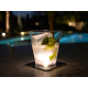 Interluxe LED Untersetzer 4er Set - Tropical - vier leuchtende Untersetzer für Gläser, Gin-Tonic, Cocktails als Sommer-Tischdeko