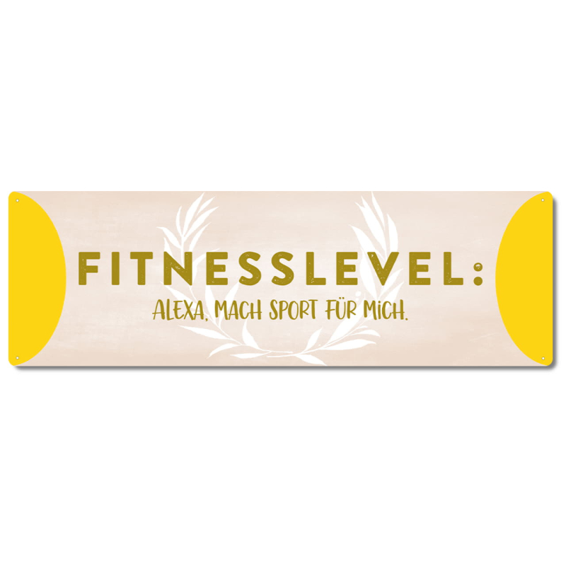 Interluxe Metallschild - Fitness Level Alexa - humorvolles Schild als Geschenk für Freunde, Bekannte, Familie, Sportmuffel