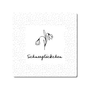 Schneeglöckchen - Metallschild 20x20cm  Dekoration...