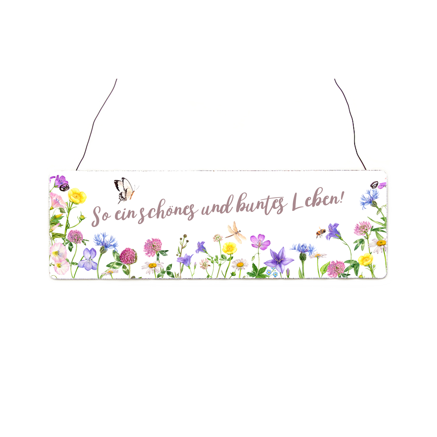 Interluxe Holzschild - So ein schönes buntes Leben - Schild als Geschenk oder Gartendeko Blechschild