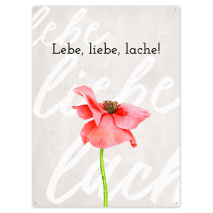 Interluxe 300x220mm Blechschild Wandschild - Lebe Liebe...
