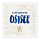 Interluxe Duftsäckchen - Lieblingsfarbe Ostsee Maritim - frisch abgefüllt mit verschiedenen Düften Meer Strand