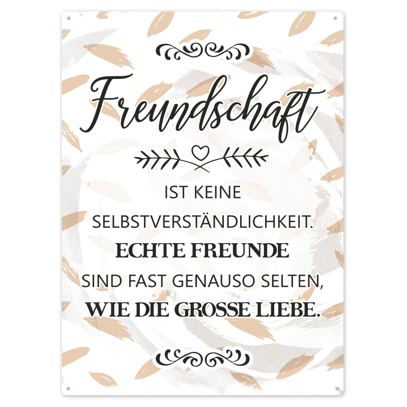 Interluxe Schild 300x220mm Metallschid Wandschild - Freundschaft ist keine Selbstverständlichkeit - Geschenk für Freunde