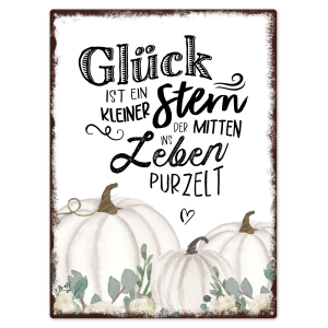 Interluxe Schild 300x220mm Metallschild  Wandschild - Glück ist ein kleiner Stern - Spruchschild Herbst weißer Kürbis Baby Boo Dekoschild Pumpkin