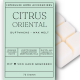 Interluxe Duftwachs Citrus Oriental Duftwachswürfel aus Pflanzenwachs mit dem Duft nach Zitrone und Ingwer
