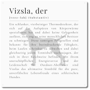 Interluxe Schild 20x20cm Metallschild - Definition Vizsla