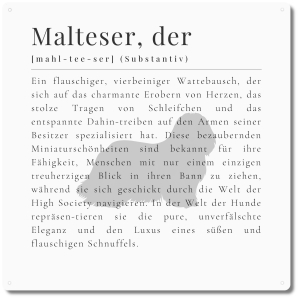 Interluxe Schild 20x20cm Metallschild - Definition Malteser