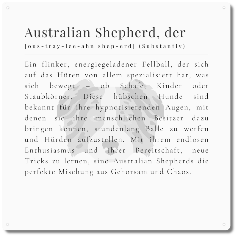 Interluxe Schild 20x20cm Metallschild - Definition Australian Shepherd