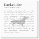 Interluxe Schild 20x20cm Metallschild - Definition Dackel