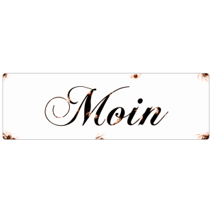 METALLSCHILD Shabby Blechschild Dekoschild MOIN Schild Geschenk Deko Eingang