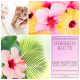 Interluxe Duftmelt - Hibiskusblüte - aromatisches Duftmelt als Raumduft zu Wellness, Relax und Entspannung