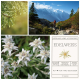 Interluxe Duftwachs - Edelweiss -  Wachsmelt aus natürlichem Pflanzenwachs mit dem Duft nach Alpenwiesen