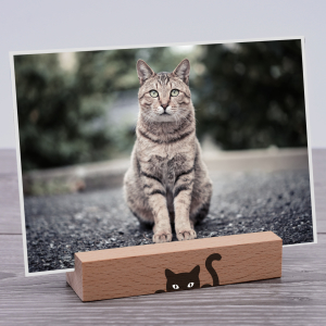 Interluxe Kartenhalter - Katze Silhouette Kätzchen Cat Grußkartenhalter mit Spruch Fotohalter Kartenständer Tischkartenhalter