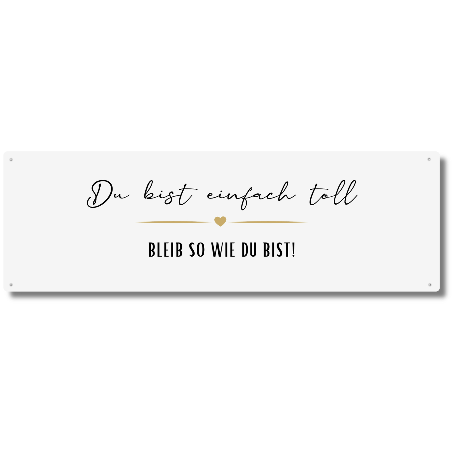 Videoüberwachung Schild – 45x30 Cm, Aluverbundplatte 3mm, Mit Bohrlöchern, Deutscher Herstellung