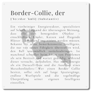 Interluxe Schild 20x20cm Metallschild - Definition Border...