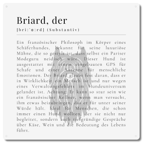 Interluxe Schild 20x20cm Metallschild - Definition Briard Hund Hundeschild